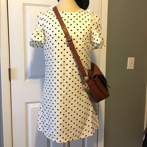 NWT Polka dot shift dress